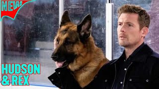 Hudson \u0026 Rex Full Episodes 2025✅Hudson \u0026 Rex Season1 Episode 3Canadian Popular Police And Crime show