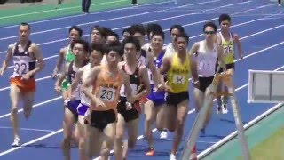 日体大記録会 1500ｍ7組　2016.5.14