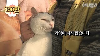 희대의 도둑고양이 검거 ㅣ We Got An Epic Cat Thief