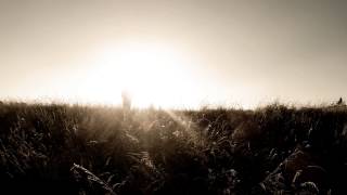 Lost Frequency Array - Sunrise