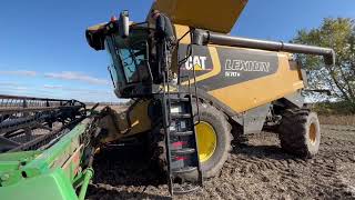 Довгоочікуване збирання сої. Нарешті виїхали в поле.#notill #комбайн