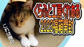 世界一テンションの低い福袋開封動画【保護猫ハウス日記】I will open the lucky bag of the cat nail sharpener specialty store.