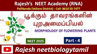 Morphology of Flowering plants / part 4 / Rajesh's NEET Academy (RNA) / NEET tamil 2025/ RNBT