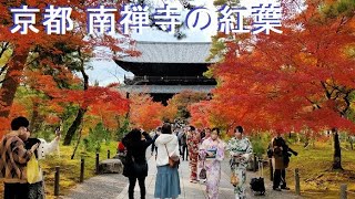 南禅寺の紅葉と水路閣2022京都