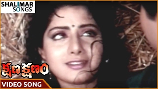 Kshana Kshanam Movie || Ammayi Muddu Video Song || Venkatesh , Sridevi || Shalimar Songs