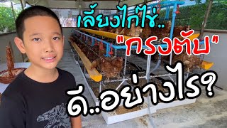 @เลี้ยงไก่ไข่🐣..ในกรงตับดี..อย่างไร⁉️ต้องดูกันในคลิปนะครับ😊