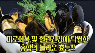 피로회복 및 혈관건강에 탁월한 홍합의 놀라운 효능!!!