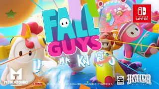 フォールガイズ（FallGuys）　カスタムマッチをみんなでたのしもうフォールガイズ最大60人マルチ　初心者でも誰でも歓迎