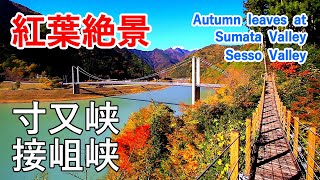 Autumn leaves at Sumata \u0026 Sesso Valley \u0026 Lake Ikawa ( Shizuoka ) / Spectacular Views of Japan