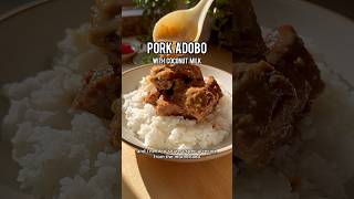 Pork Adobo w/ Coconut Milk #porkadoborecipe #adobo #filipinodish #filipinofood