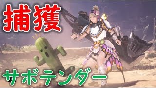 FF１４コラボ「異世界からの来訪者」サボテンダーを捕まえられるクエスト　モンハンワールド【MHW】