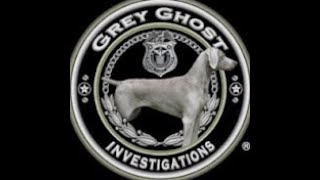 How to Find a Person in Florida - Tips & Tricks From Licensed Private Investigators