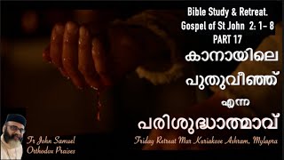 കാനായിലെ പുതുവീഞ്ഞ് എന്ന പരിശുദ്ധാത്മാവ്  I ST JOHN 2:1-8 I BIBLE STUDY I  FR JOHN SAMUEL