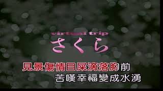 毛毛雨~陳盈潔~男bDm調~伴奏導唱~金嗓(丙)