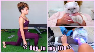 ☆ A DAY IN MY LIFE! (new kitten, nails + gym)