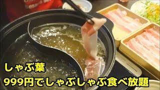 【しゃぶ葉】平日ランチはしゃぶしゃぶ食べ放題999円！☆三元豚バラ食べ放題☆バイキング・ランチ・食べ物動画