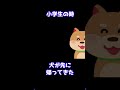 【2ch 面白いスレ】人懐っこい野良犬