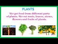 sources of food plants animals primary kids videos