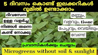 How to grow Microgreens without soil|മണ്ണില്ലാതെ വീട്ടിൽ തന്നെ ഇലച്ചെടികൾ വളർത്തിയെടുക്കാം