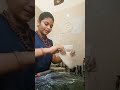 easy ஆன முறையில் 😮Soft ஆன சப்பாத்தி🌯#cookingvideo #theclassyqueen❤️✨