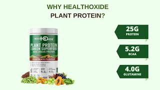 Healthoxide Vegan Plant Protein, Herbs, Antioxidants, Digestive Enzymes (Natural Chocolate flavor)