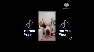 New Challenge Tiktok | Twerk TikTok New Trend #shorts #trend