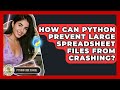 How Can Python Prevent Large Spreadsheet Files From Crashing? - Python Code School