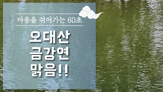 오대산 금강연 맑음 ㅣ2023.08.27(일)