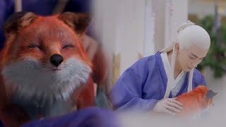 一次就中！小狐狸怀上帝君的孩子，帝君喜当爹细心帮养胎！| 🦊三生三世枕上书 Eternal Love of Dream |