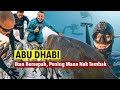 Spearfishing di ABU DHABI ! Trip pecah kapal !