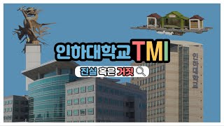 하와이부터 건물에 숨겨진 비밀까지 🔍 캠퍼스 한 바퀴 산책하며 알아보는 인하대 TMI 진실 혹은 거짓! [진실편]