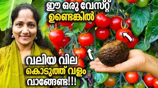 ഈ വേസ്റ്റ് ഉണ്ടെങ്കിൽ വില കൊടുത്ത് വളം വാങ്ങേണ്ട!|MAGIC Micronutrients for Better Yield of Plants!