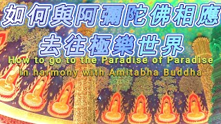 如何與阿彌陀佛相應、去往極樂世界How to go to the Paradise of  Paradise in     harmony with Amitabha Buddha#佛 #阿彌陀佛