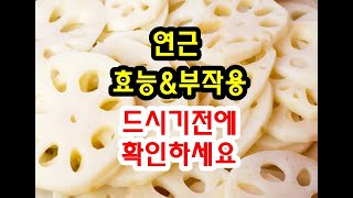 연근효능과 부작용 드시기전에 확인하세요~