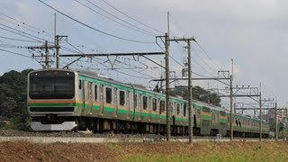 E231系普通上野行き通過　東大宮～蓮田間にて