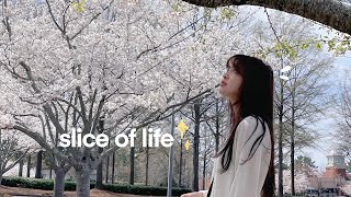 Slice of Life: Productive days as a College Student, Cooking Asian Food, Mini GRWM, It’s Spring!