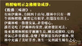 往生之路．百萬念佛共修C2－益西彭措堪布