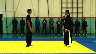 Chen Style Taiji Quan - Fighting Techniques Demonstration - 陈式 太极拳 - Combat Tai Chi