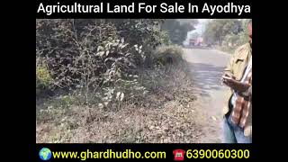 1.75 Bigha Agricultural Land For Sale In Ayodhya ☎️ 6390060300