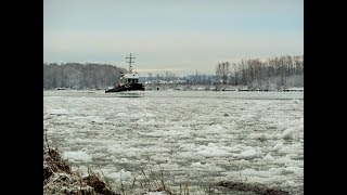 Sea Imp IX recovering a log bundle in the Fraser River ice.