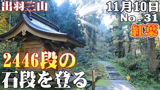 紅葉No.31  羽黒山石段詣　登り【11月10日】山形