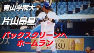 青山学院大　片山昂星　ホームラン(横浜DeNAベイスターズジュニア-横浜緑リトルシニア-東海大菅生)【2021年東都大学野球春季リーグ　立正大学戦】ENEOS