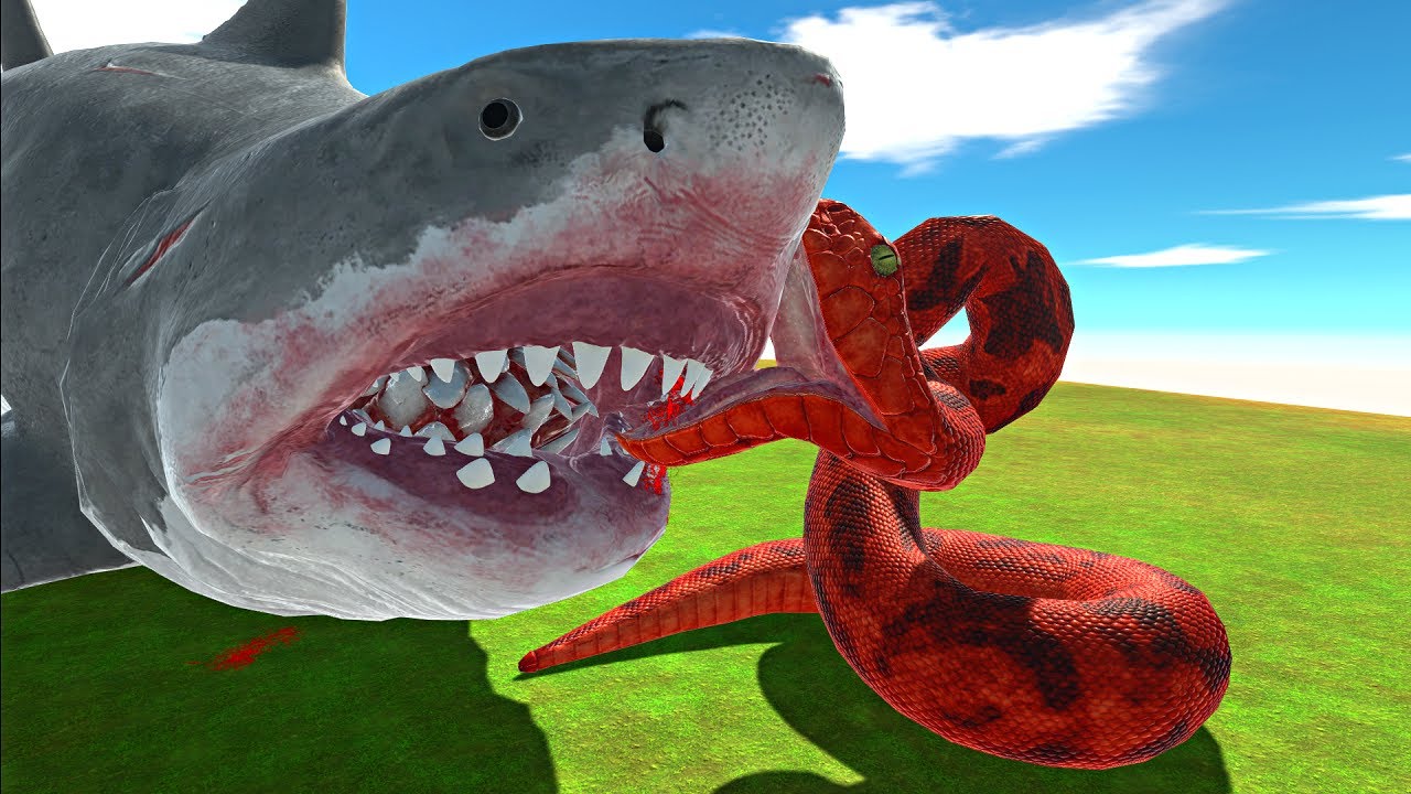 Battle Of Monster Titanoboa Vs Megalodon Vrogue Co Battle Of Monster Titanoboa Vs Megalodon Vrogue Co