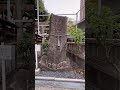 サムハラ神社　秋分の日エネルギーの転換点　願望実現のエネルギーを受け取ってください 産土神社 セルフクリエート