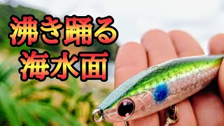 【ナブラ撃ち】ミジュンが沸き立つ！！難攻不落なナブラ撃ち【沖繩 釣り】