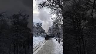 Argentina tierra del fuego 阿根廷火地島