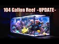 BREATHTAKING Reef Aquarium! - (104 Gallons) ᴴᴰ