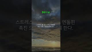 청운스님 ㅣ불교의 참선과 웃음은 호흡이 같다 ㅣ마음공부