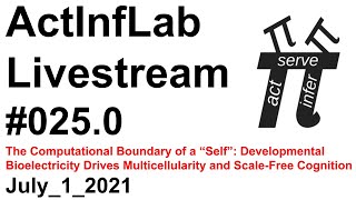 ActInf Livestream #025.0 ~ "The Computational Boundary of a Self"