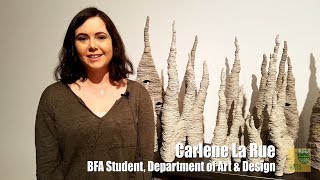 Acts of Care (2018 BFA graduate show) - Carlene La Rue